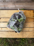 Mesclun de laitue
