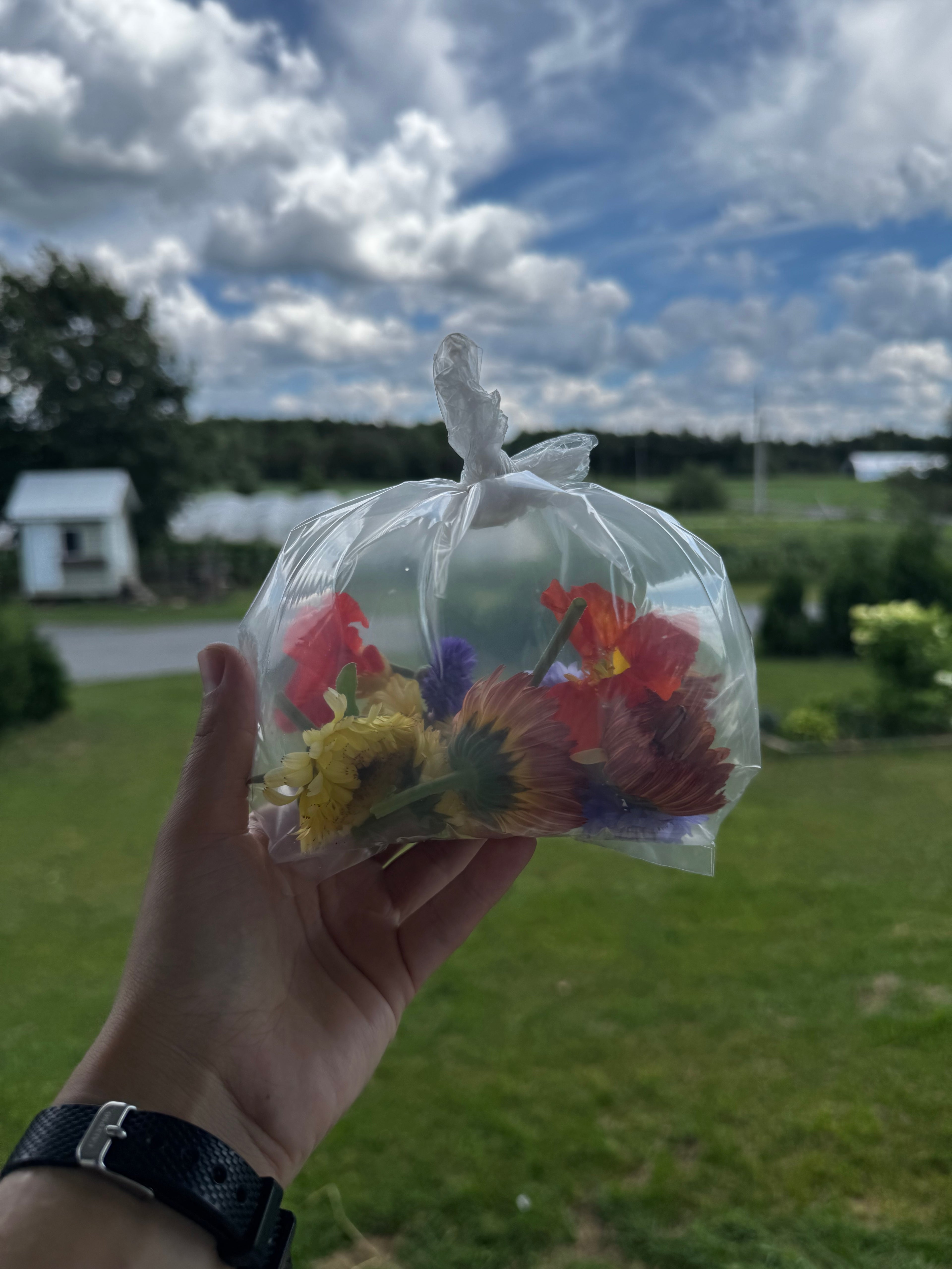 Sac de fleurs comestibles
