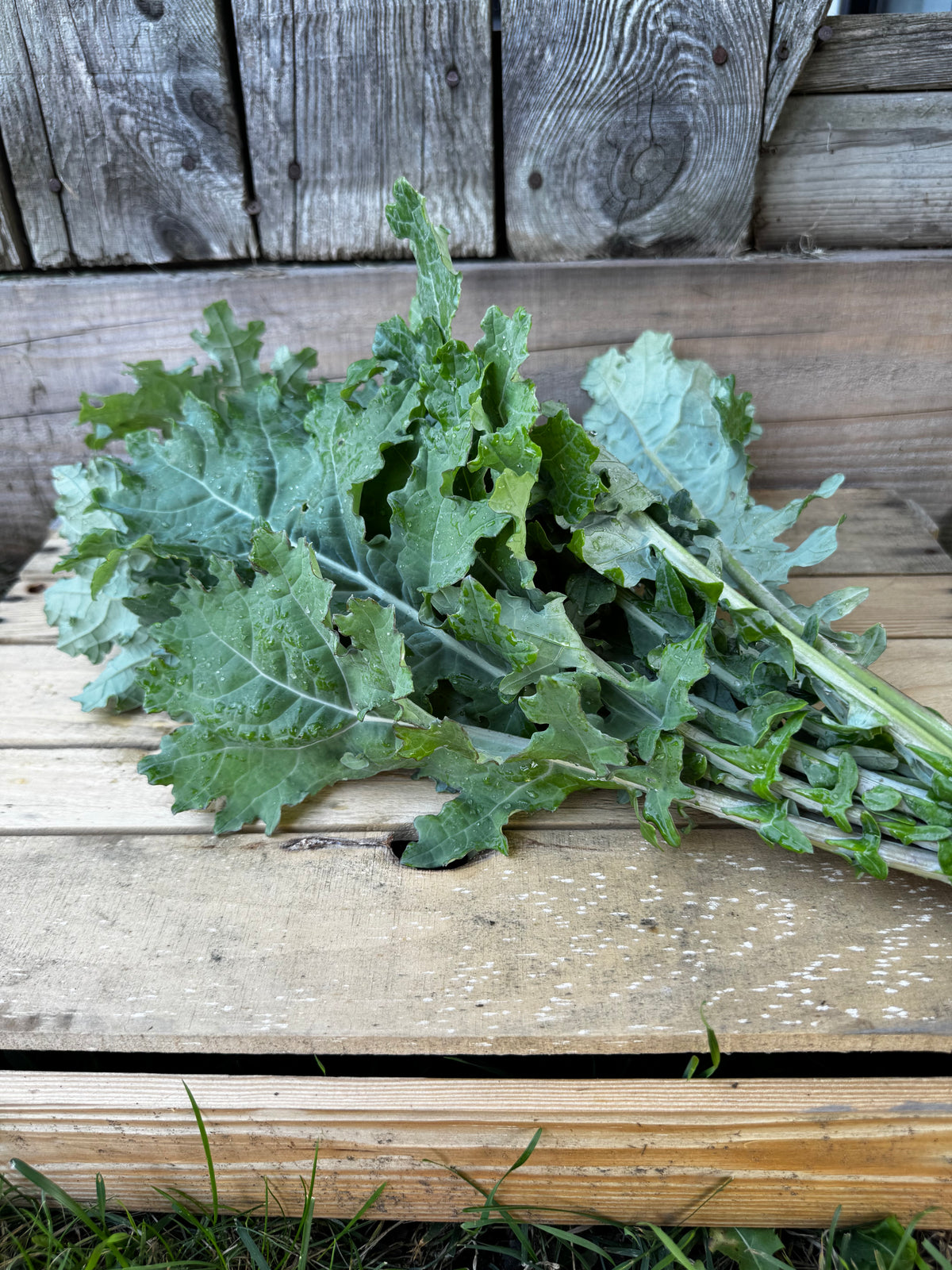 Kale