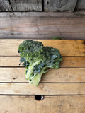 Brocoli