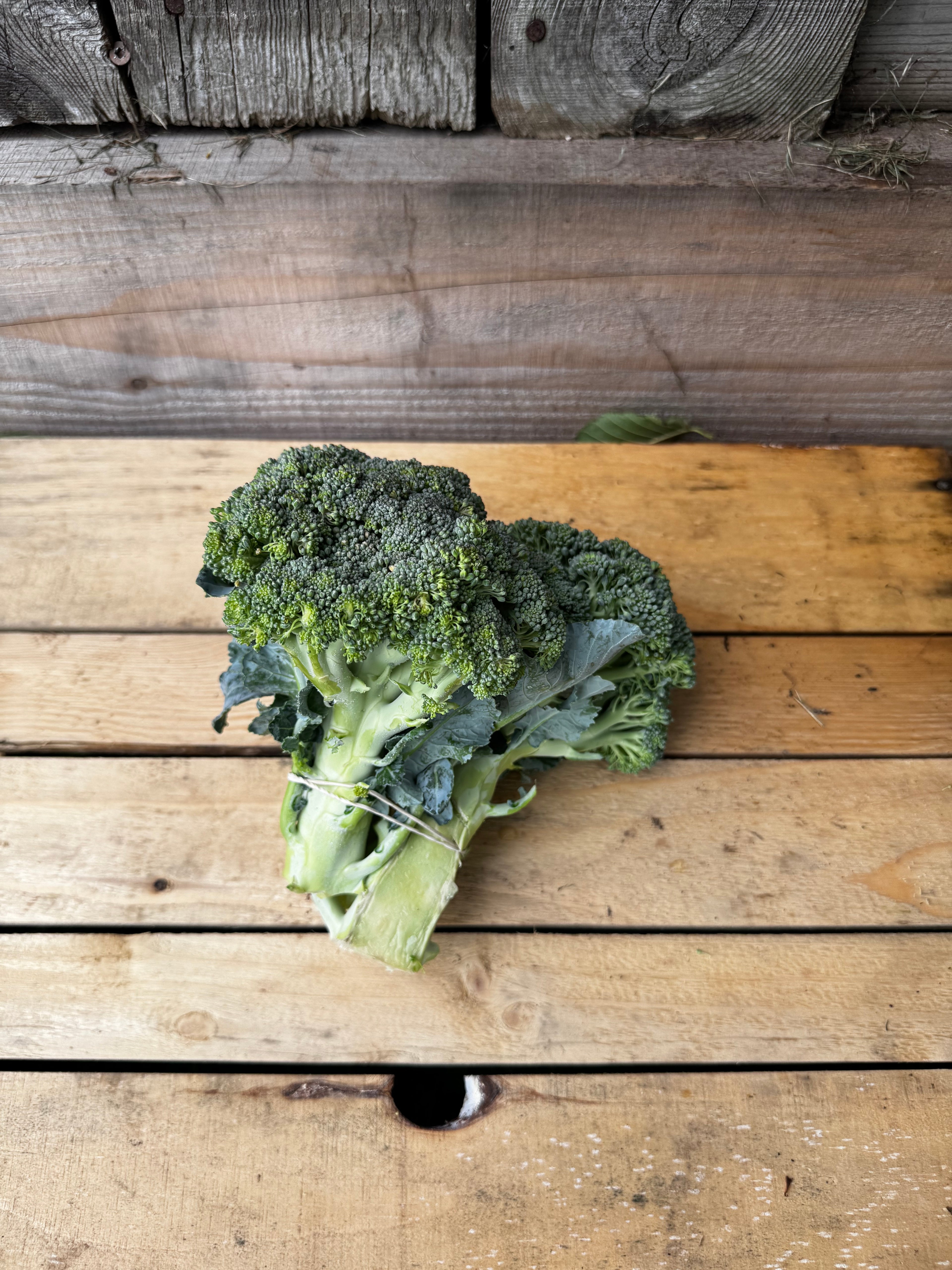 Brocoli
