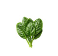 Épinard