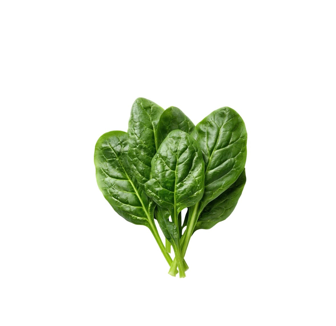 Épinard