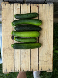 Courgette
