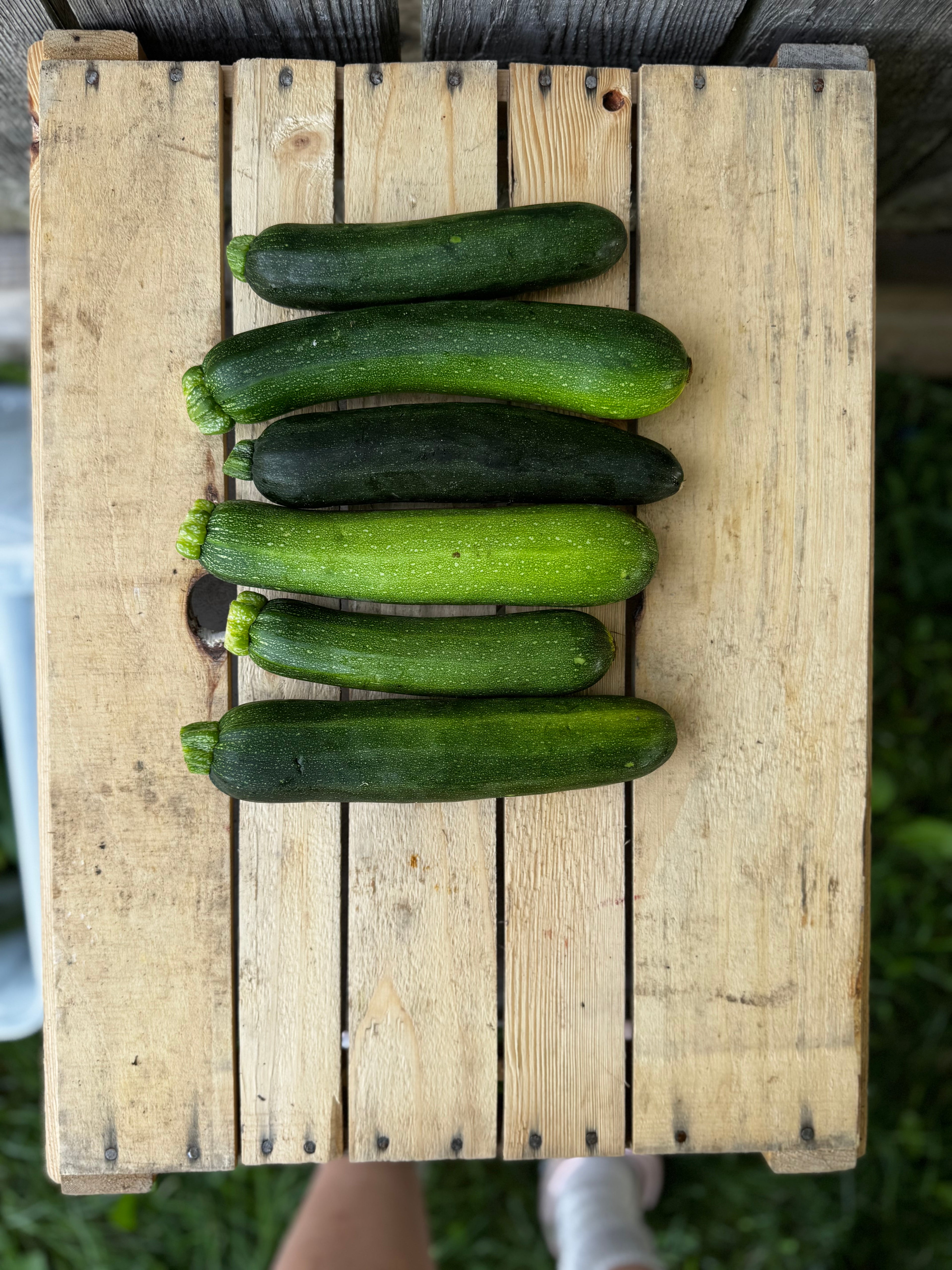 Courgette