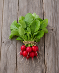 Radis rouge