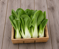Pac choy
