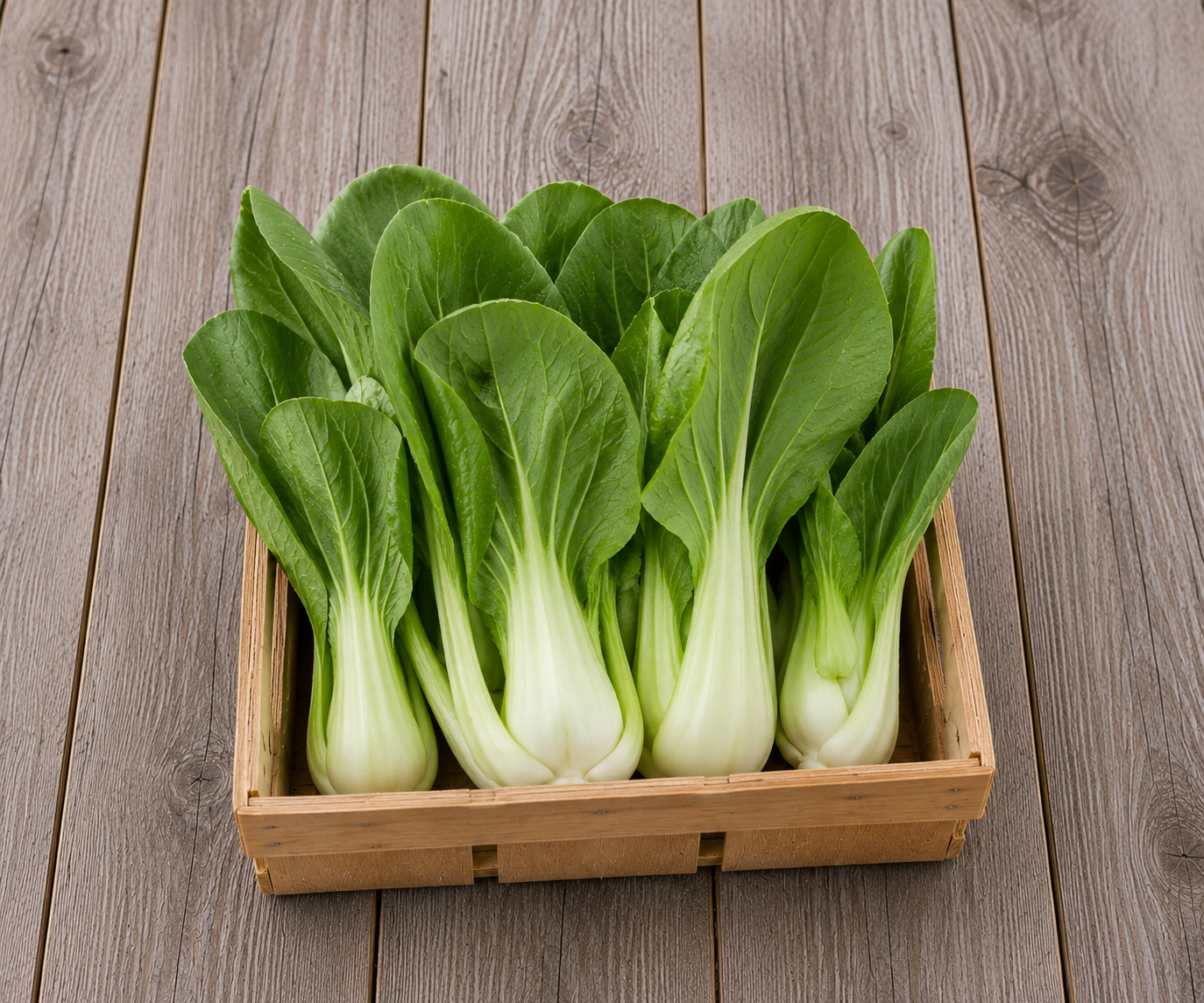 Pac choy