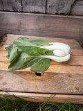 Pac choy
