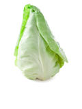 Chou conique
