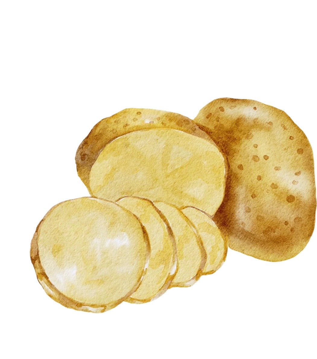 Patate nouvelle