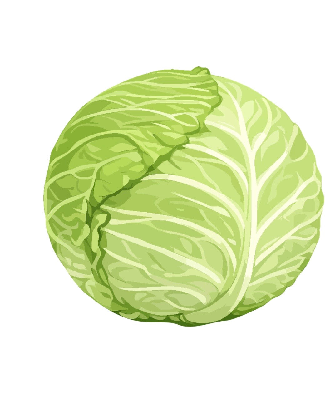 Chou vert