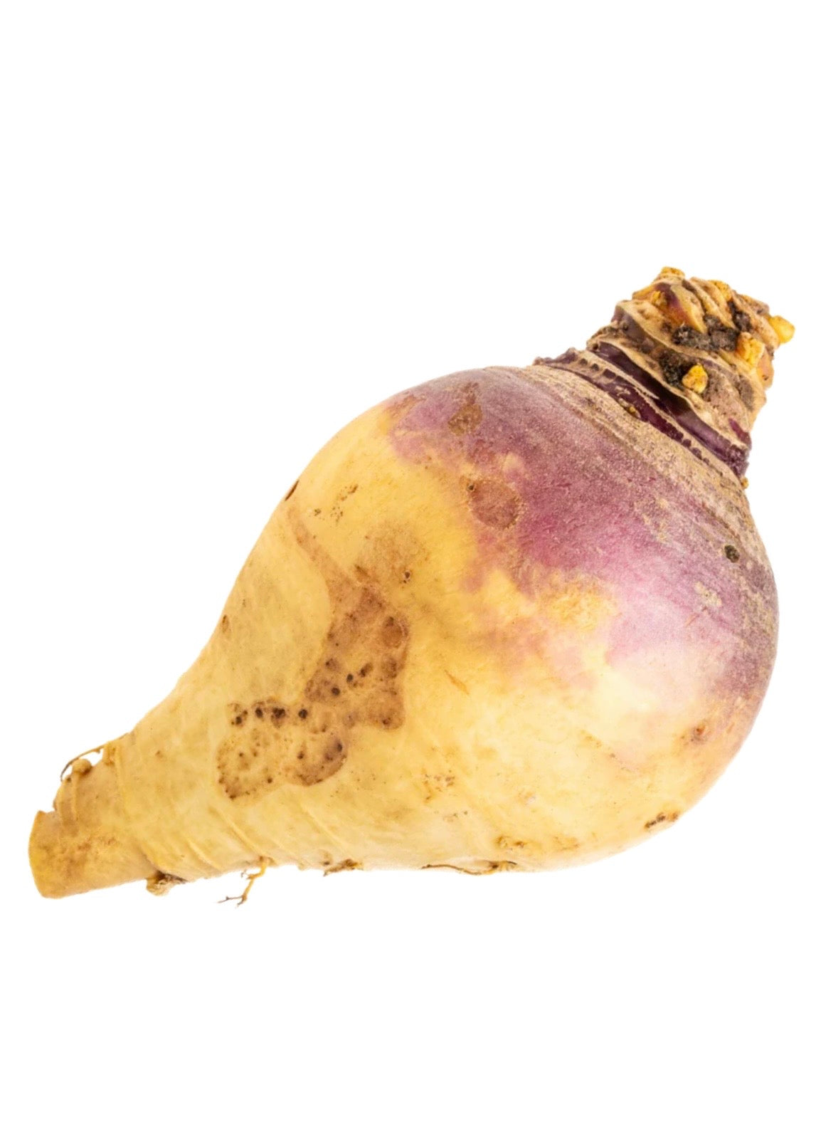 Navet