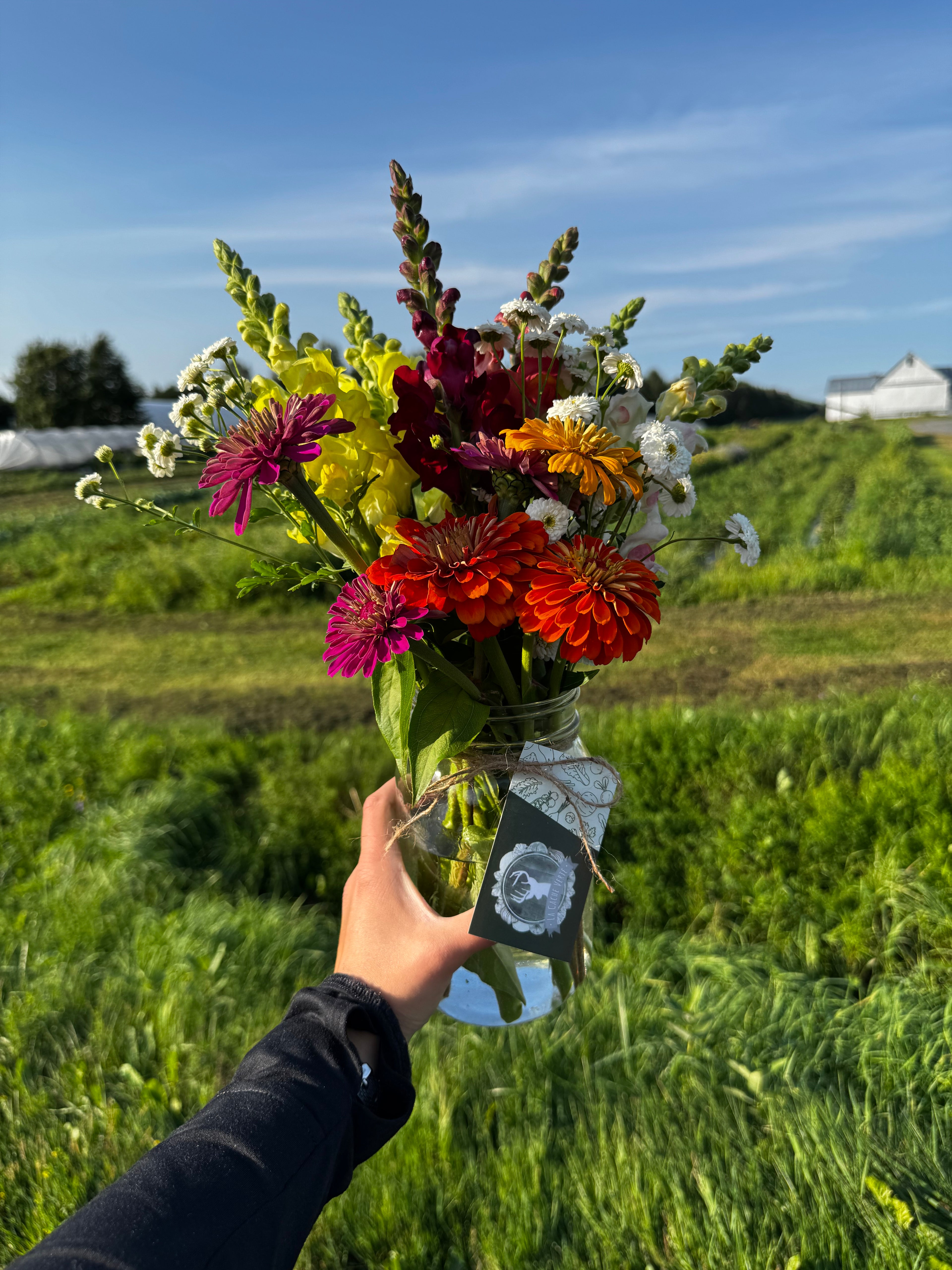 Forfait Yoga et autocueillette de fleurs
