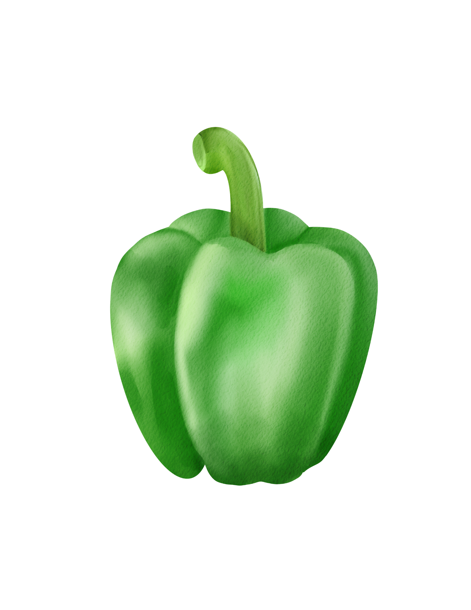 Poivron vert